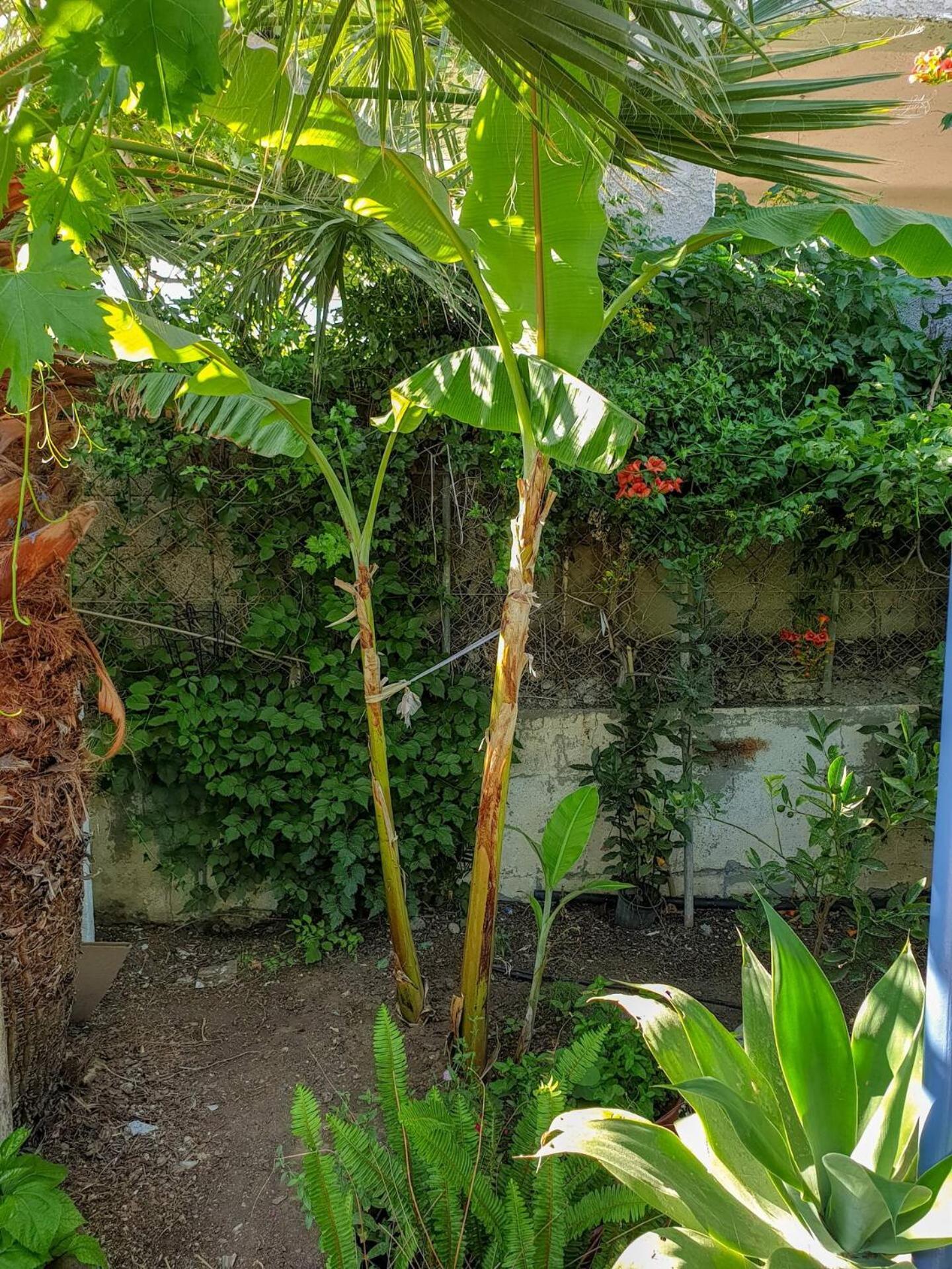 칼라마키 Maria'S House, With Garden 빌라 외부 사진